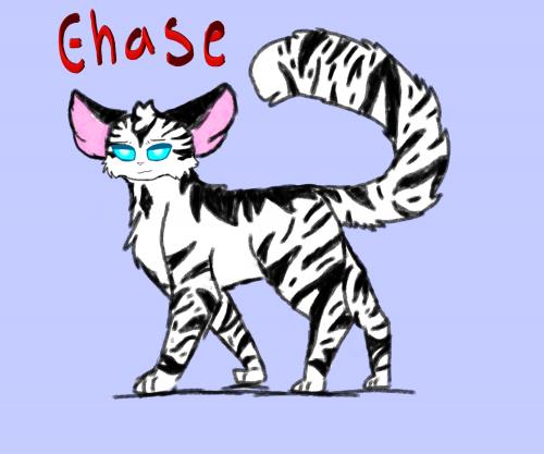 Chase cat - Allie.jpg